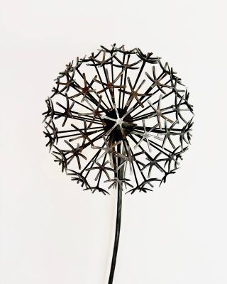 Sedím na zahradě, pozoruji rozkvetlé a odkvétající pampelišky, jak vánek jemně unáší jejich chmýří. Letní klid a pohoda....